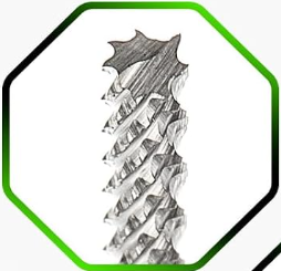Carbide Burr Bits